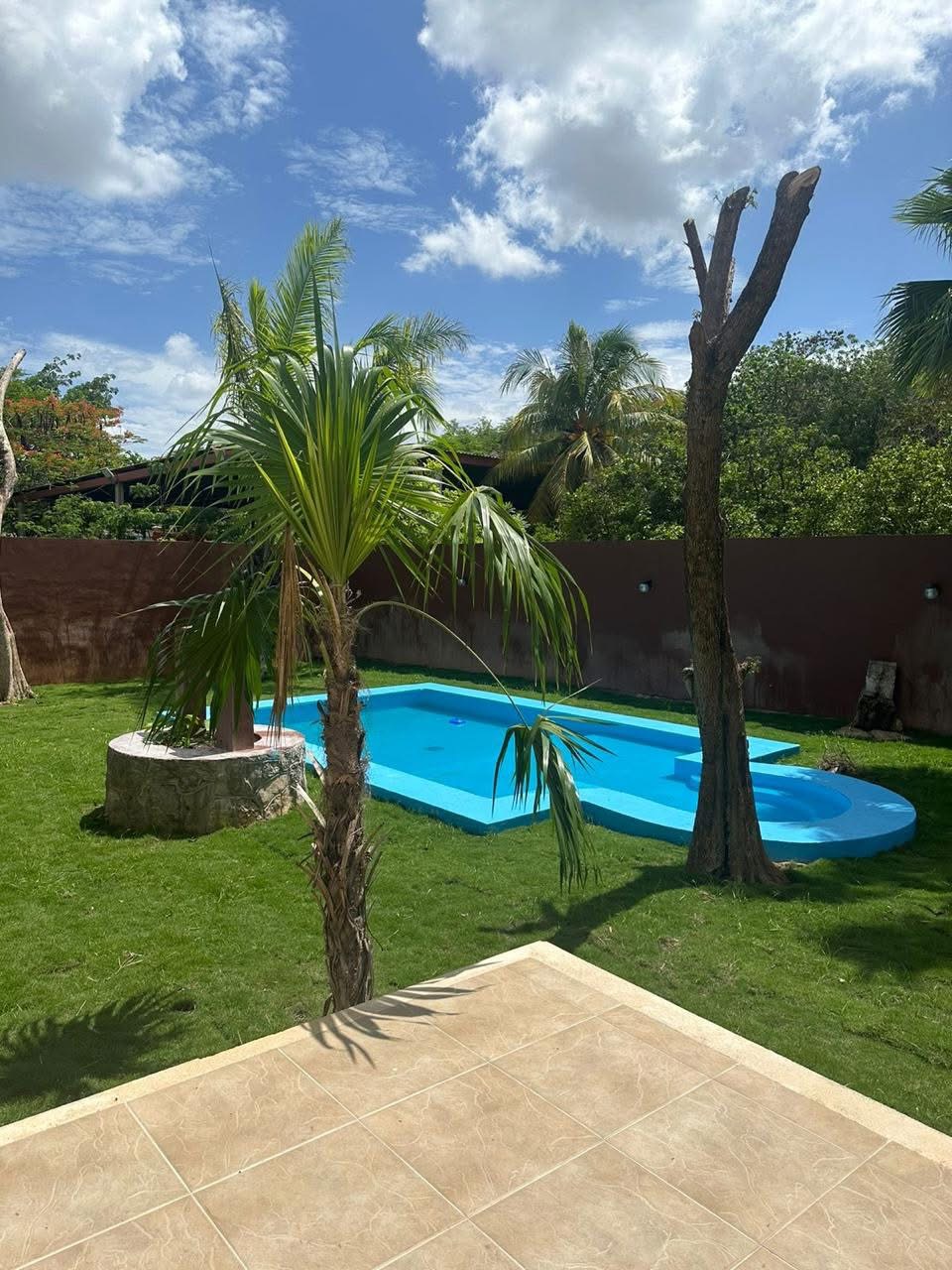 Alberca, terraza y asador en el jardín